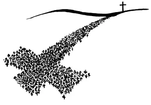 cross-shadow